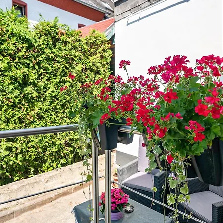 Danma Eifel Apartment Laubach (Rhineland-Palatinate)